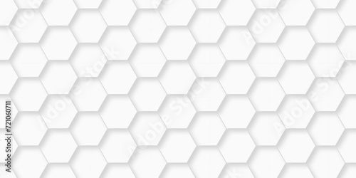 Fototapeta Naklejka Na Ścianę i Meble -  Background with white and black lines 3d Hexagonal structure futuristic white texture and Embossed Hexagon , honeycomb white Background ,light and shadow ,Vector technology cell web tile backdrop.