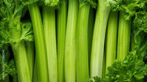 Extreme Closeup of Celery Bunch - Highly Detailed Minimal Style Overhead View AI Generated