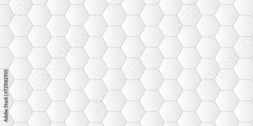 Fototapeta Naklejka Na Ścianę i Meble -  Abstract 3d background with hexagons pattern with hexagonal white and gray technology line paper background. Hexagonal vector grid tile and mosaic structure mess cell. white and gray hexagon.