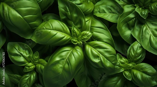 Extreme Closeup of Basil Leaves AI Generated