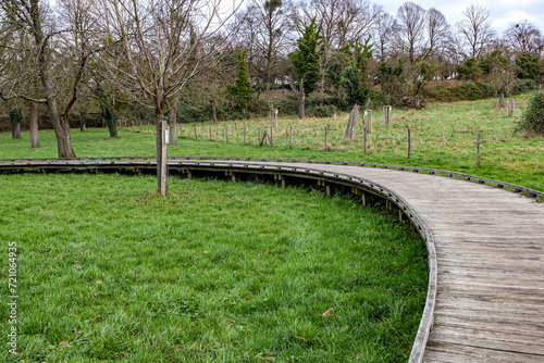 Fotografie Curved wooden elevated walkway bridge on green grass, bare fruit trees in Flande
