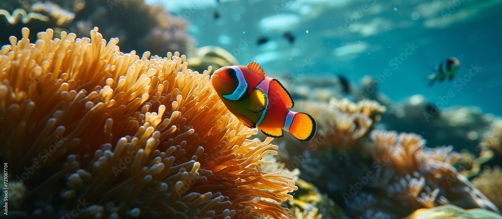 Majestic Fish Swimming Gracefully Under the Se Majestic Fish Swimming Gracefully Under the Se
