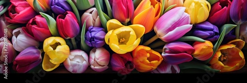 colorful background of multicolored tulips © Natalia