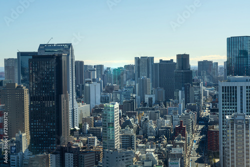 panoramic view of Tokyo, Japan © Sergio Delle Vedove