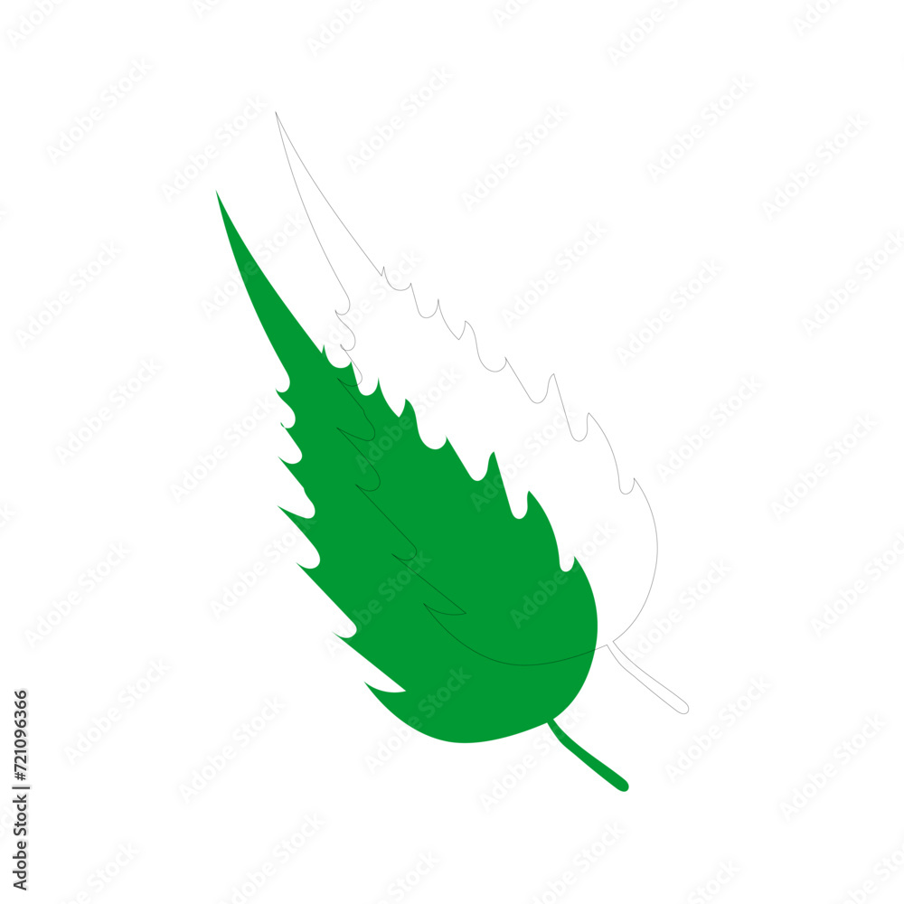 Naklejka premium vector element leaf in green color leaf