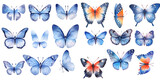 Watercolor butterfly clipart for graphic resources