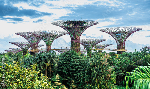 Gardens by the Bay in Singapore with iconic Supertrees and lush tropical vegetation. Vibrant cityscape with unique greenery, modern architecture, and nature in harmony photo
