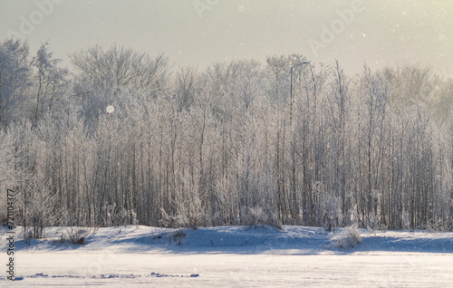 Snow-covered trees, winter landscape. Trees Natural background. © Prikhodko