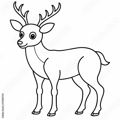 deer black and white vector illustration for coloring book 