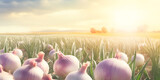 Harvesting Nature's Bounty: Fields of Onion and Beyond