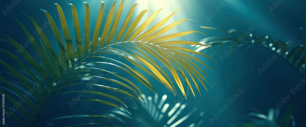 Tropical Botanical Illustration Palm Tree Vegetable, Wallpaper Pictures, Background Hd