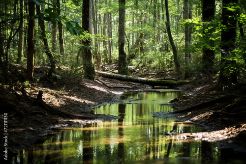 pond in the park. Generative Ai
