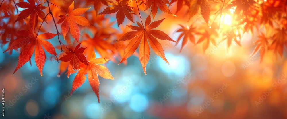 Fall Gradient Background Abstract Blurred Red, Wallpaper Pictures, Background Hd