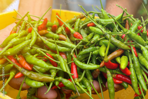 person holding a bag of pepper red and green