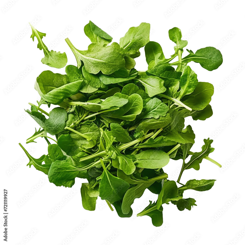 Plethora of Vibrant Green Arugula Spice Leaves Plethora of Vibrant Green Arugula Spice Leaves