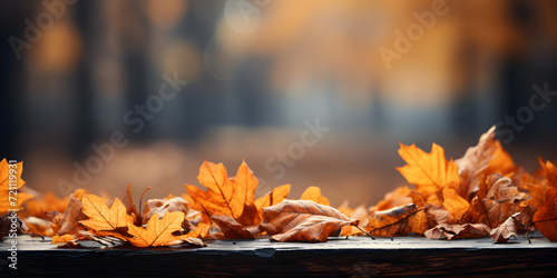 fallen leaves on wooden bench in park