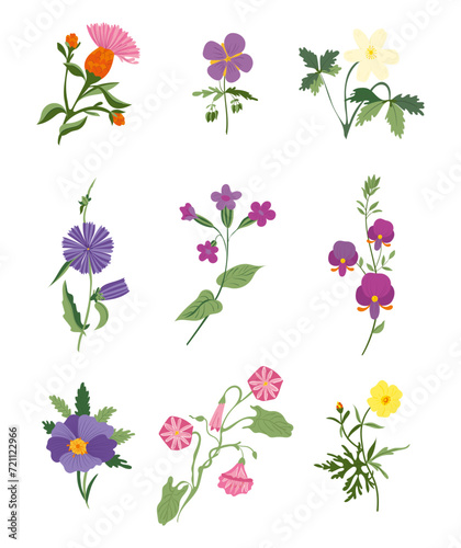 Set of wild flowers isolated on white background. Flat vector illustration, hand drawn