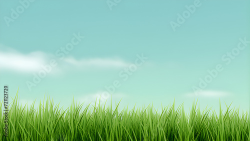 Panoramic View of Lush Green Grass, green grass and blue sky