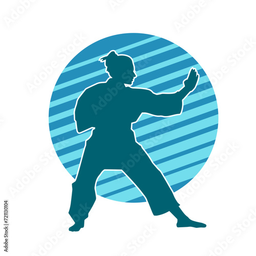 Silhouette of a slim female doing martial art pose. Silhouette of a martial art woman in action pose.