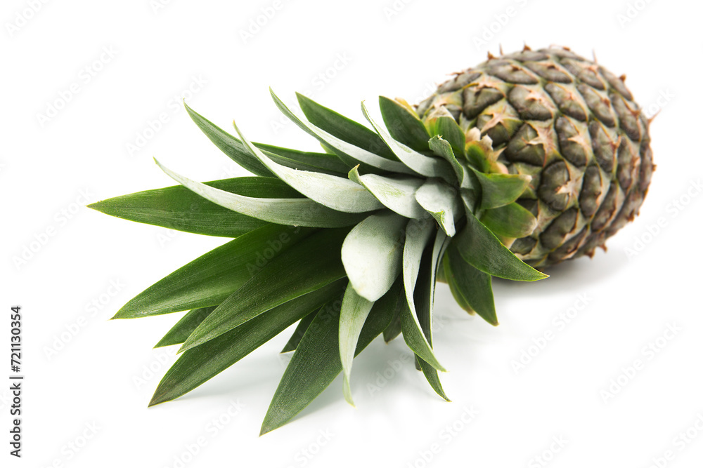 Fresh ripe whole pineapple isolated on white background. Fresh ripe whole pineapple isolated on white background.