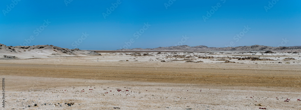 sand dunes near desert shore,south of Luderitz, Namibia sand dunes near desert shore,south of Luderitz, Namibia