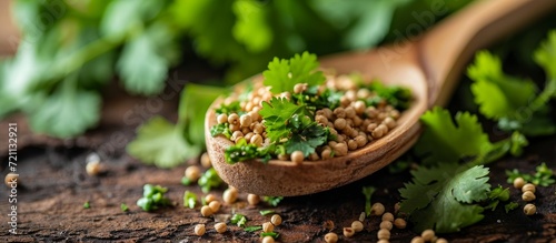 Closeup of Coriander on Wooden Spoon - A Captivating Closeup Shot of Coriander Sprinkled on a Rustic Wooden Spoon