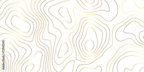Abstract background with topographic contours map with geographic golden line map .white wave paper curved reliefs abstract background .vector illustration of topographic line contour map design .