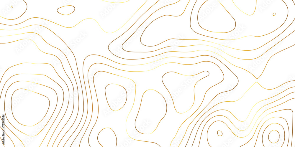 Abstract background with topographic contours map with geographic golden line map .white wave paper curved reliefs abstract background .vector illustration of topographic line contour map design . - obrazy, fototapety, plakaty 