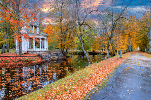 Autumn patterns in old public garden park, wet walkway with leaves as foreground