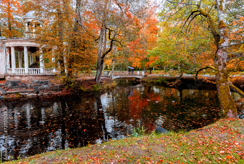 Autumn patterns in old public garden park, pond with ducks and water reflections as foreground