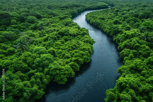 Overhead view of a meandering river in a tropical forest, illustrating nature's intricate pathways. Concept of natural watercourses and jungle landscapes. Generative Ai.