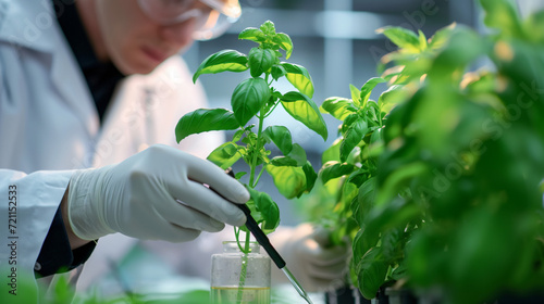 Scientist inserting chemical in basil plant