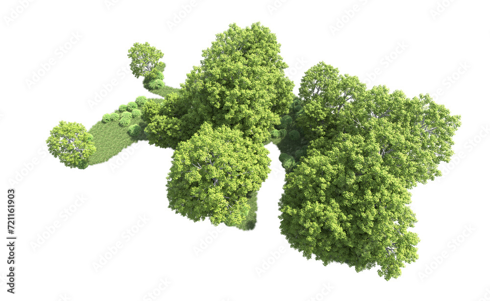 Green forest isolated on background. 3d rendering - illustration Green forest isolated on background. 3d rendering - illustration