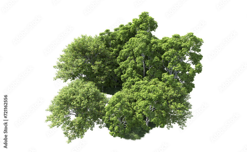 Green forest isolated on background. 3d rendering - illustration Green forest isolated on background. 3d rendering - illustration