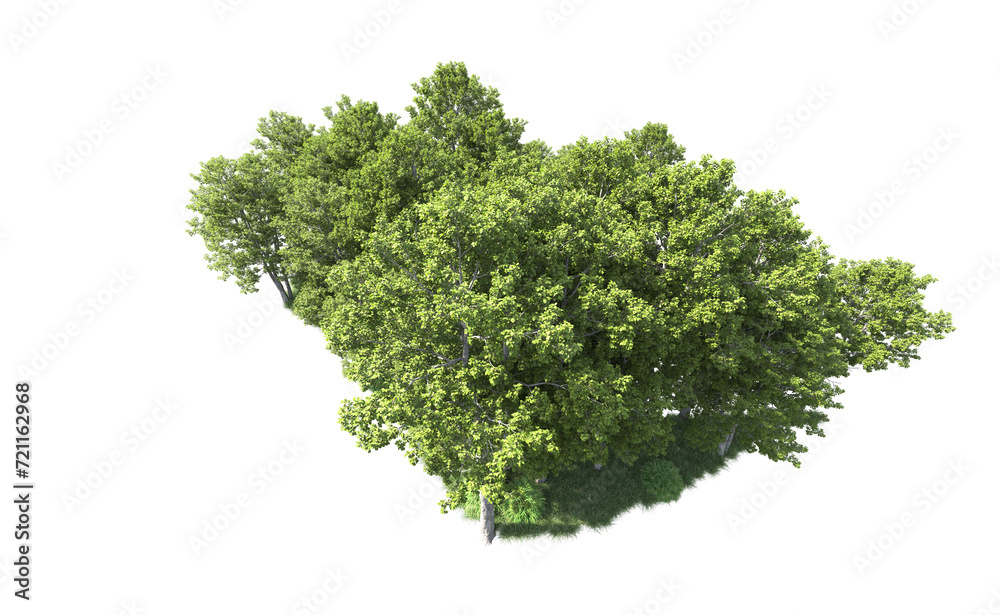 Obraz premium Green forest isolated on background. 3d rendering - illustration