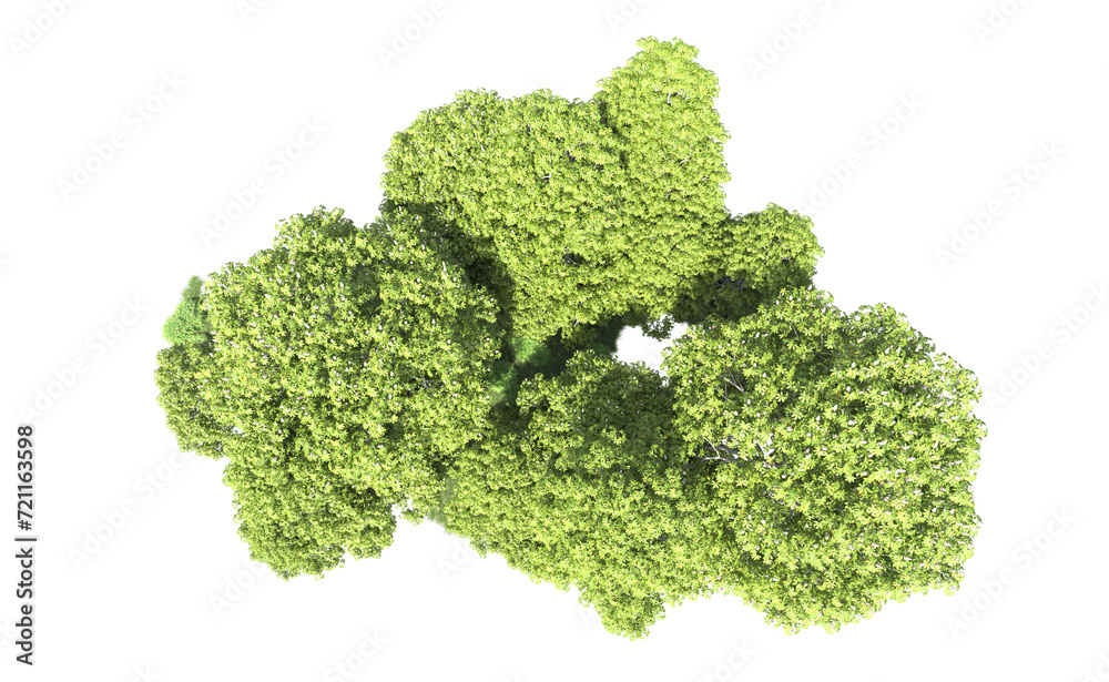 Green forest isolated on background. 3d rendering - illustration Green forest isolated on background. 3d rendering - illustration