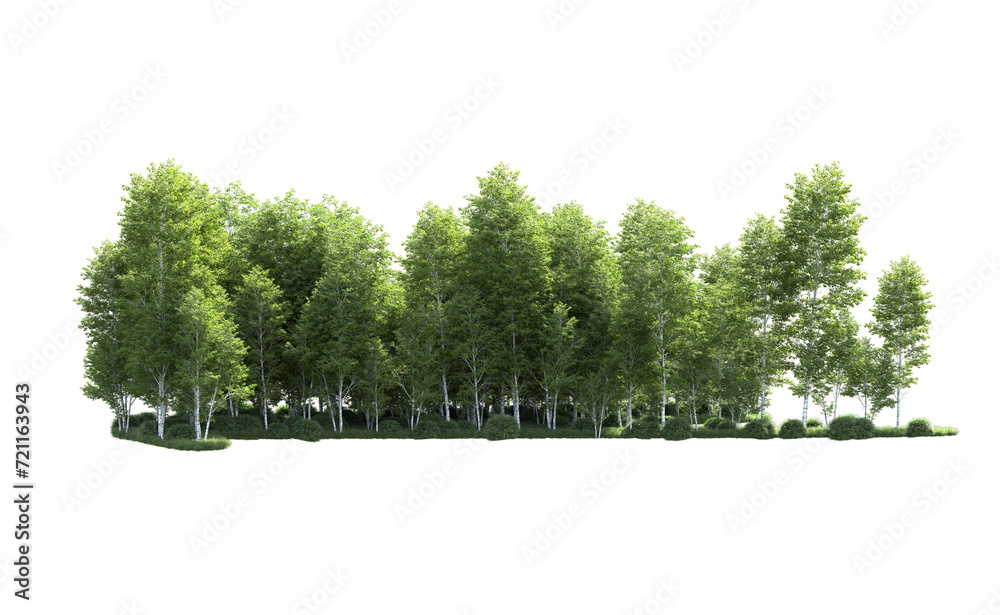 Obraz premium Green forest isolated on background. 3d rendering - illustration