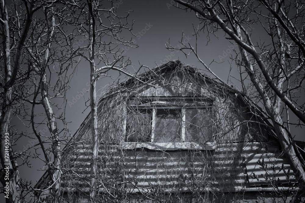 Obraz premium Abandoned ruined and old house.