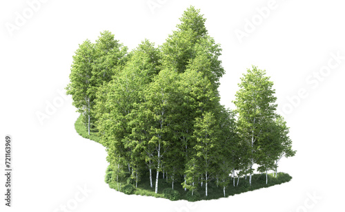 Green forest isolated on background. 3d rendering - illustration