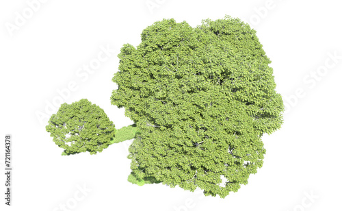 Green forest isolated on background. 3d rendering - illustration