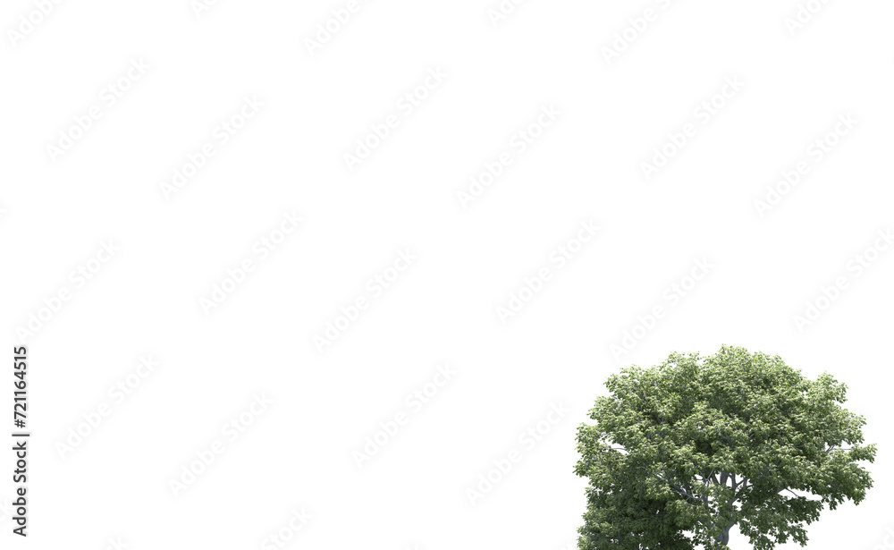 Green forest isolated on background. 3d rendering - illustration Green forest isolated on background. 3d rendering - illustration