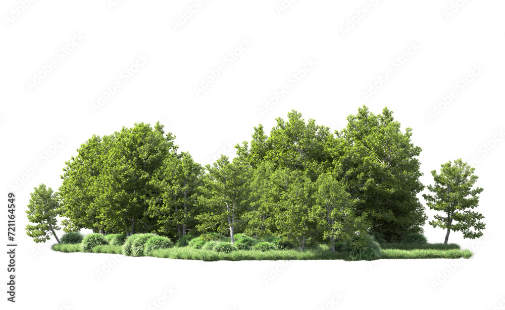 Fototapeta premium Green forest isolated on background. 3d rendering - illustration