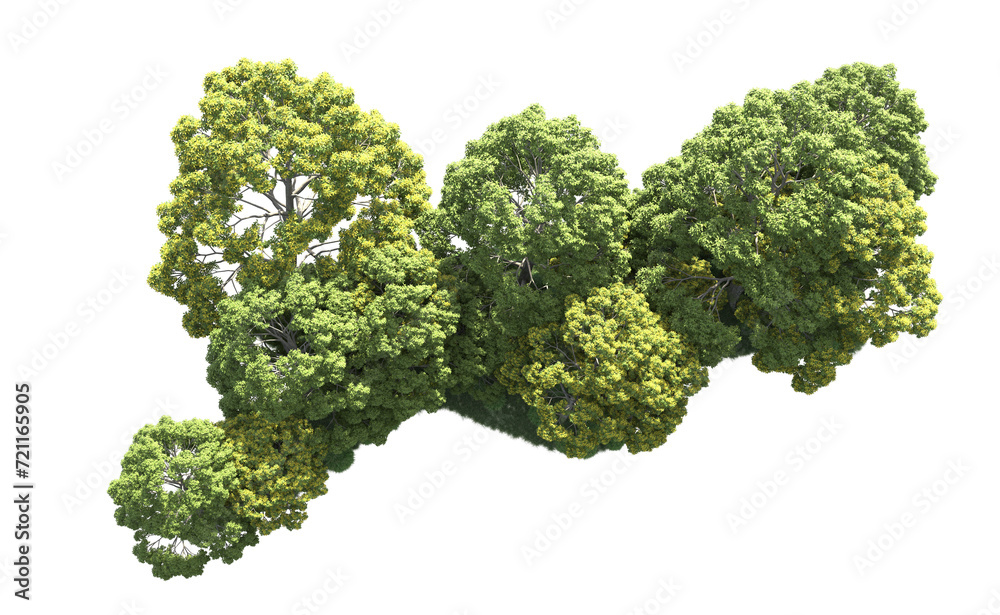 Green forest isolated on background. 3d rendering - illustration Green forest isolated on background. 3d rendering - illustration