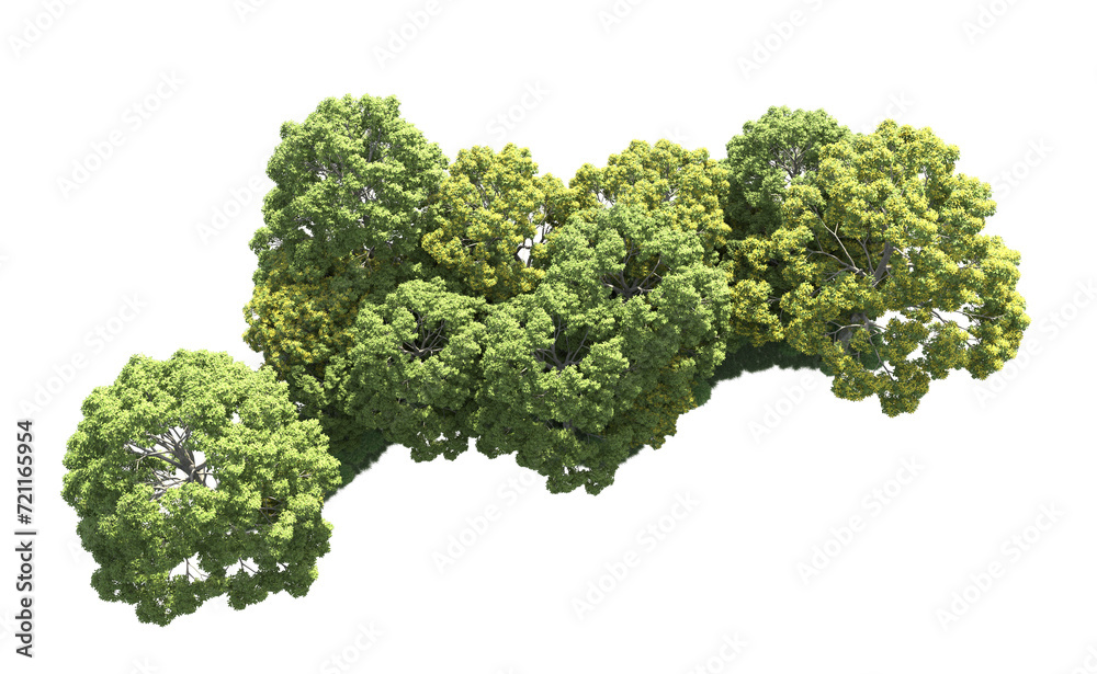 Green forest isolated on background. 3d rendering - illustration Green forest isolated on background. 3d rendering - illustration