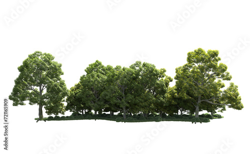 Green forest isolated on background. 3d rendering - illustration