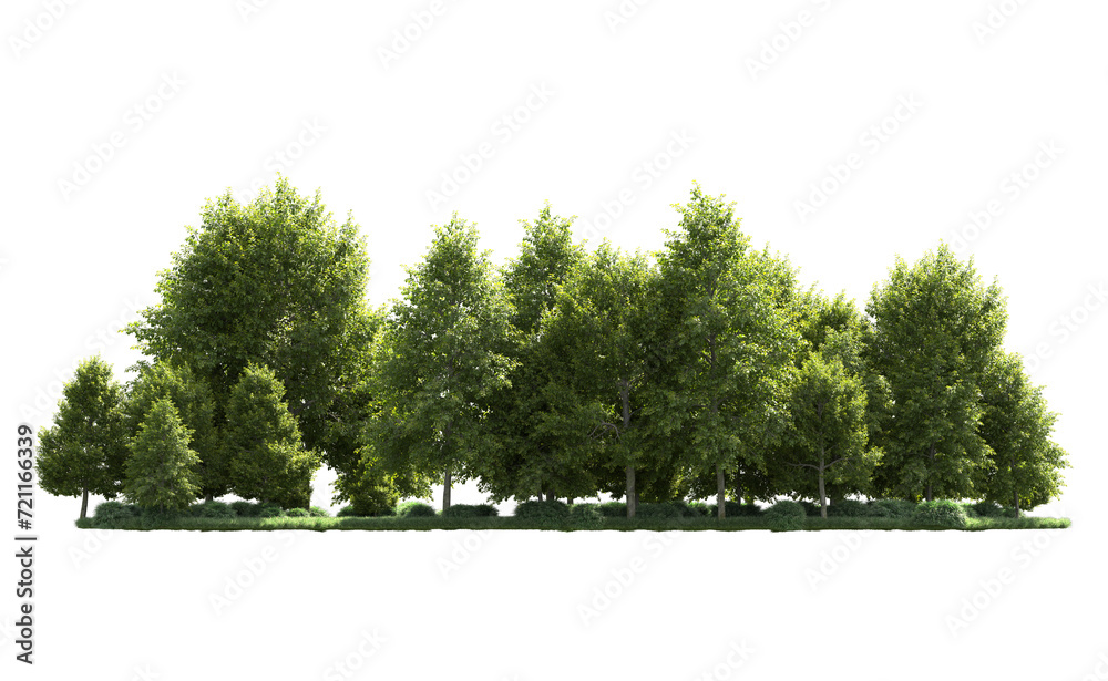 Obraz premium Green forest isolated on background. 3d rendering - illustration