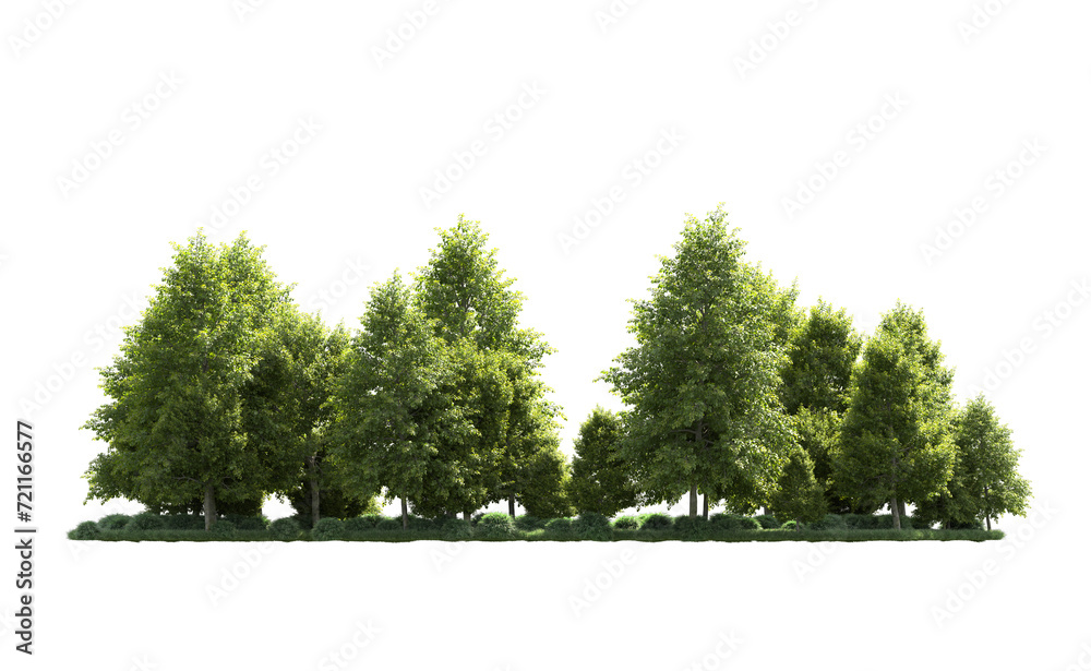 Obraz premium Green forest isolated on background. 3d rendering - illustration