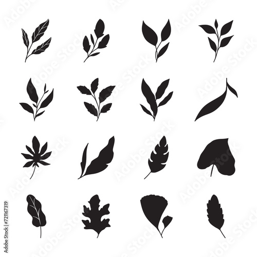 set of silhouettes of leaves 
