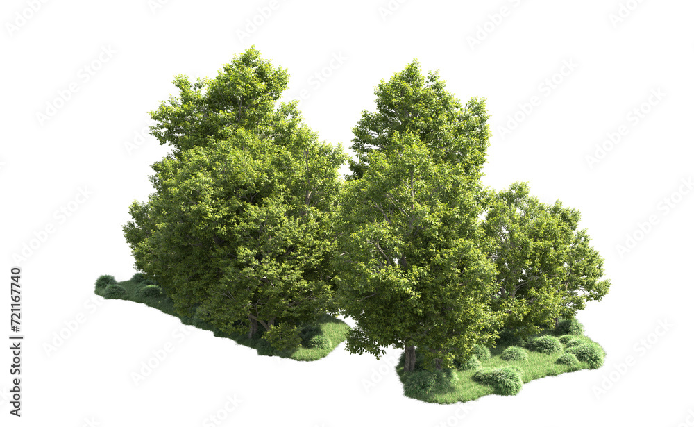 Obraz premium Green forest isolated on background. 3d rendering - illustration