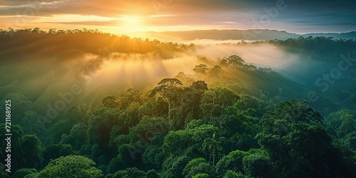 Dramatic Aerial Photograph of the Jungle at Sunrise. Beautiful Natural Background photo